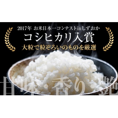 令和7年産新米 ミルキークイーン 10kg【BU011】