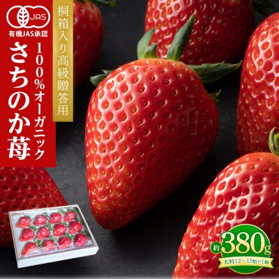 桐箱入り高級贈答用 とくしまオーガニックいちご・大粒(12～15粒 約380g)1箱【BL007】