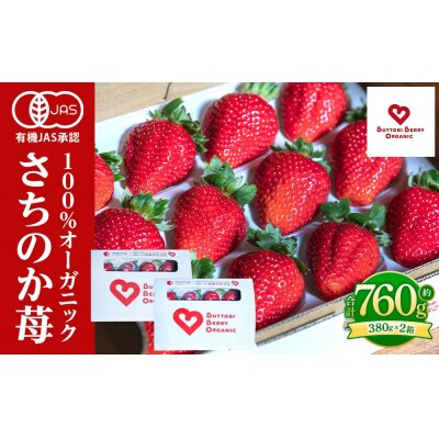 とくしまオーガニックいちご 大粒12～15粒(約380gx2) 2段箱【BL002】
