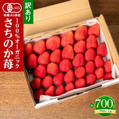 訳あり!とくしまオーガニックいちご(約700g)ご家庭用【BL005】