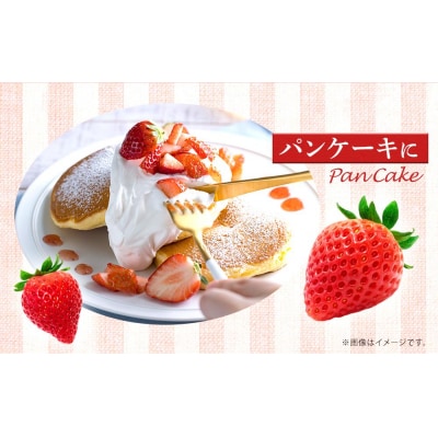 訳あり!とくしまオーガニックいちご(約700g)ご家庭用【BL005】