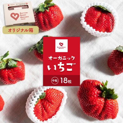とくしまオーガニックいちご 中粒18粒(約380g)1箱【BL010】