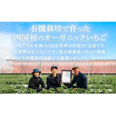 とくしまオーガニックいちご 中粒18粒(約380g)1箱【BL010】
