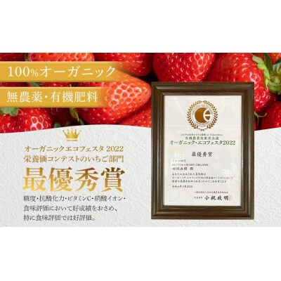とくしまオーガニックいちご 中粒18粒(約380g)1箱【BL010】