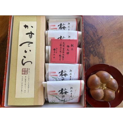 焼きまんじゅう(梅天神)5つ カステラ1本 セット