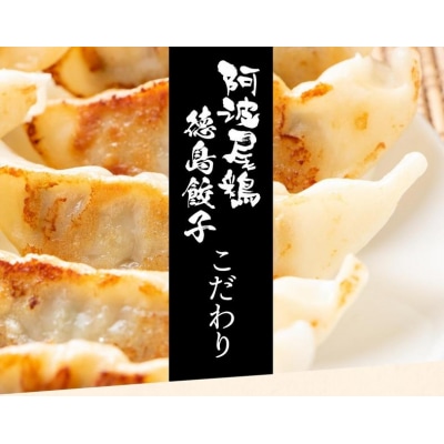 阿波尾鶏　徳島餃子96個入