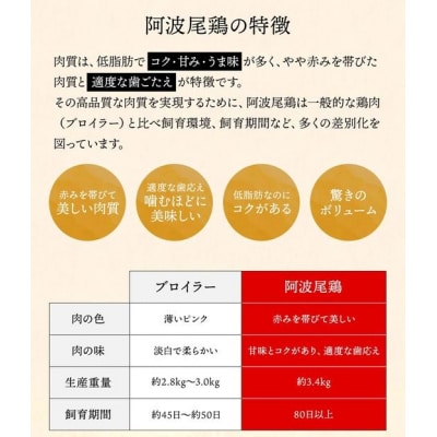 阿波尾鶏　徳島餃子96個入