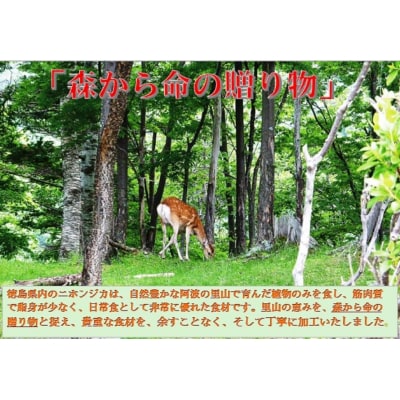 AWA WILD MEAT  鹿コロッケ  120g×2個入×2パック【GY001】