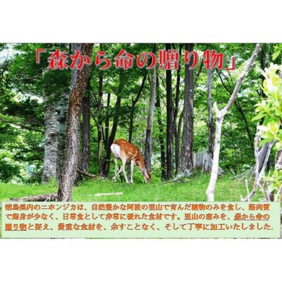 AWA WILD MEAT   鹿焼肉タレ漬け 140g×3袋【GY003】