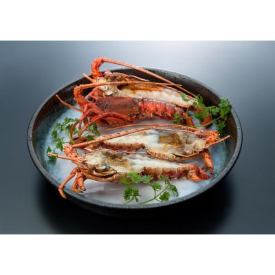 伊勢海老ステーキ ハーフカット 2切 (計約150g)