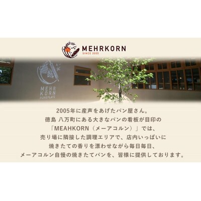 【定期便 全2回】おすすめパン 12個×2(計24個) 冷凍パン