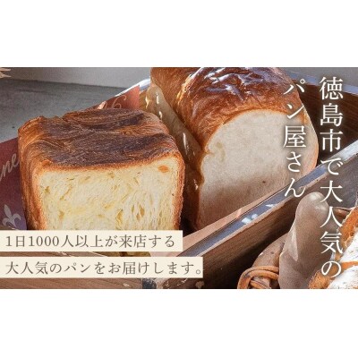 【定期便 全2回】おすすめパン 12個×2(計24個) 冷凍パン