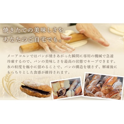 【定期便 全2回】おすすめパン 12個×2(計24個) 冷凍パン