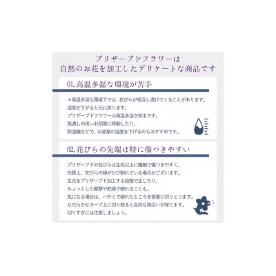 母の日ギフト プリザーブドフラワー バブルドーム　ルミエ　母の日ver