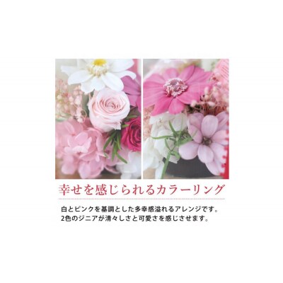 母の日ギフト プリザーブドフラワー ルヴェール 母の日ver