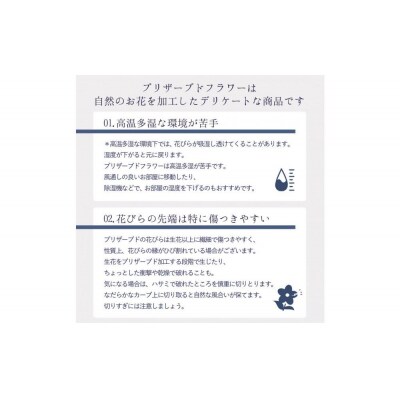 母の日ギフト プリザーブドフラワー ルヴェール 母の日ver