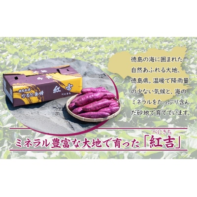 さつまいも なると金時 紅吉(べにきち)2kg