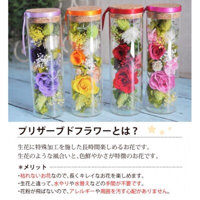 【レッド】プリザーブドフラワー メルティ 高さ約16cm