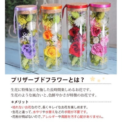 【ピンク】プリザーブドフラワー メルティ 高さ約16cm