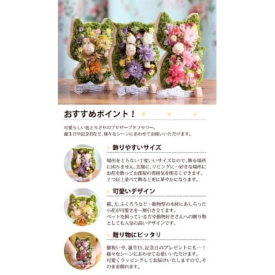 【ネコ】アニマルフラワー