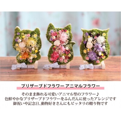 【ふくろう】アニマルフラワー