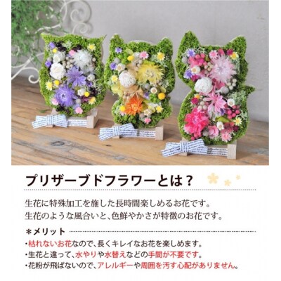 【ふくろう】アニマルフラワー