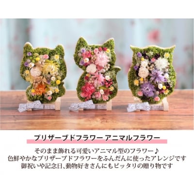 【うさぎ】アニマルフラワー