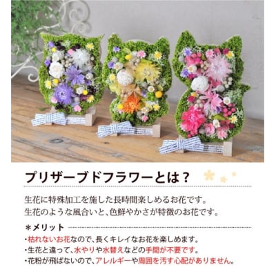 【うさぎ】アニマルフラワー