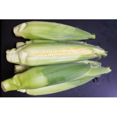 とうもろこし ゴールドラッシュ 5本