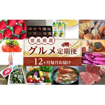 【12ヶ月毎月お届け】徳島 厳選 グルメ定期便【ZZ010】