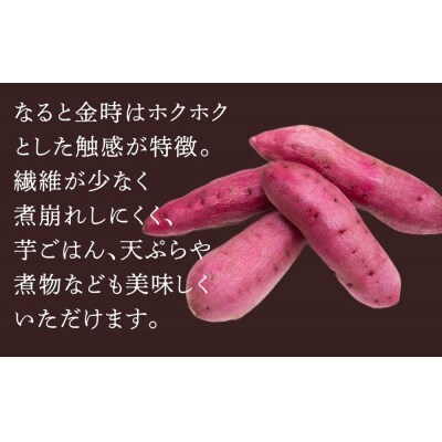 なると金時「甘姫」約5kg　貯蔵  1週間以内に発送【FL001VC02】