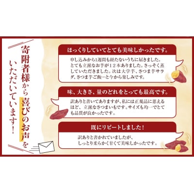 訳あり さつまいも なると金時 甘姫  (約5kg)貯蔵【FL007VC02】