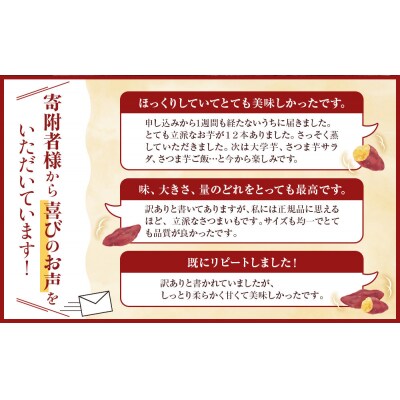 訳あり さつまいも なると金時 甘姫  (約5kg)貯蔵【FL007VC02】