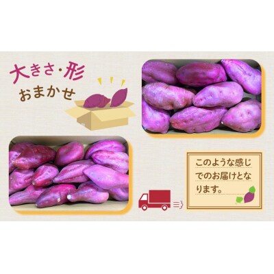 訳あり さつまいも なると金時 甘姫  (約5kg)貯蔵【FL007VC02】