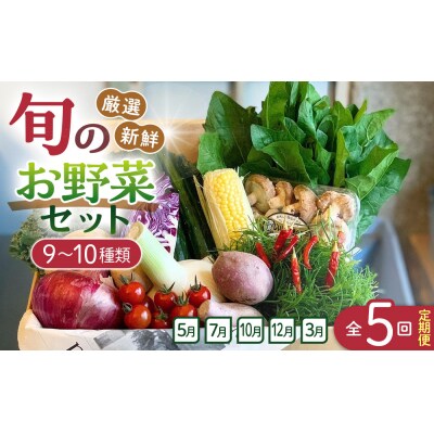 【全5回定期便】野菜セット 旬の野菜(9~10種類)【BU013】