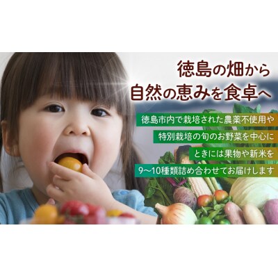 【全5回定期便】野菜セット 旬の野菜(9~10種類)【BU013】