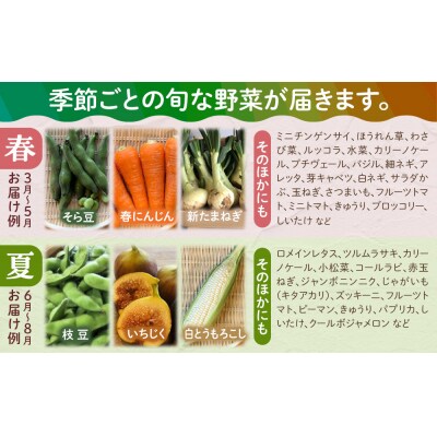 【全5回定期便】野菜セット 旬の野菜(9~10種類)【BU013】