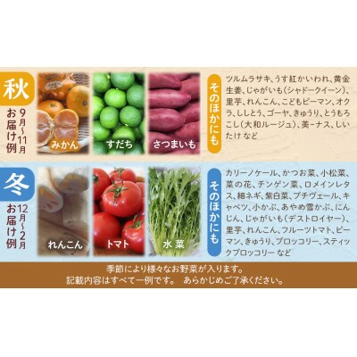 【全5回定期便】野菜セット 旬の野菜(9~10種類)【BU013】