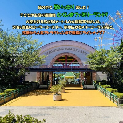 とくしまファミリーランド　アトラクション　回数券(11枚つづり)x 1冊【JF002】