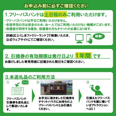 とくしまファミリーランド　アトラクション　回数券(11枚つづり)x 1冊【JF002】