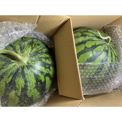 すいか(羅皇)2玉 約5kg×2【GV012】