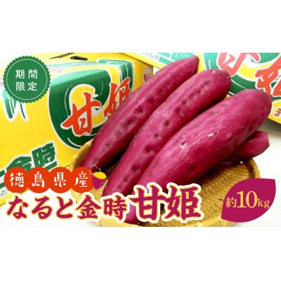 【9月以降発送】さつまいも なると金時 甘姫 約5kg×2  新芋【BP019】