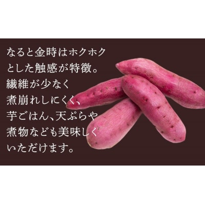 【9月以降発送】さつまいも なると金時 甘姫 約5kg×2  新芋【BP019】