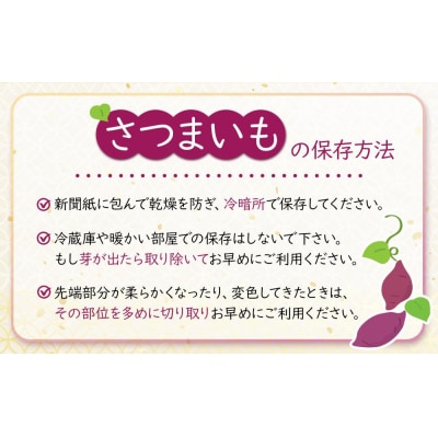 【9月以降発送】さつまいも なると金時 甘姫 約5kg×2  新芋【BP019】