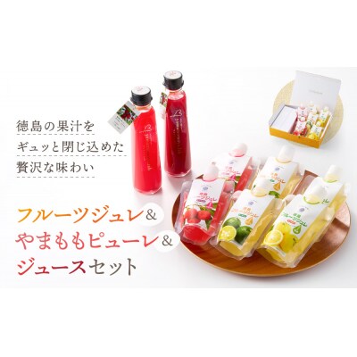 徳島フルーツジュレ 3種(やまもも すだち ゆこう)(160g×各2個　計6個)【JX001】