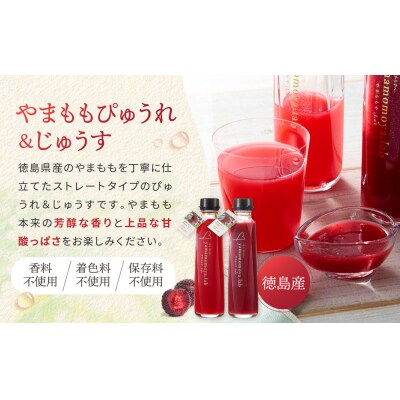 徳島フルーツジュレ 3種(やまもも すだち ゆこう)(160g×各2個　計6個)【JX001】