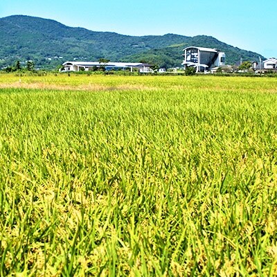 【H30年産】鶴秀(かくしゅう)米 ヒノヒカリ(玄米)30kg【10kg×3袋】