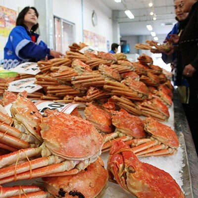 鳥取賀露港 ボイル松葉がに 【期間限定】