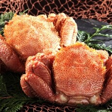650g前後×2尾　浜ゆで毛蟹　【北海道産　三特品】 | ふるさと納税のお礼品