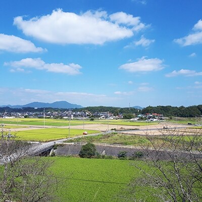 令和元年産 福岡県川崎町産 元気つくし 5kg お礼品詳細 ふるさと納税なら さとふる 令和元年産 福岡県川崎町産 元気つくし 5kg お礼品詳細 ふるさと納税なら さとふる